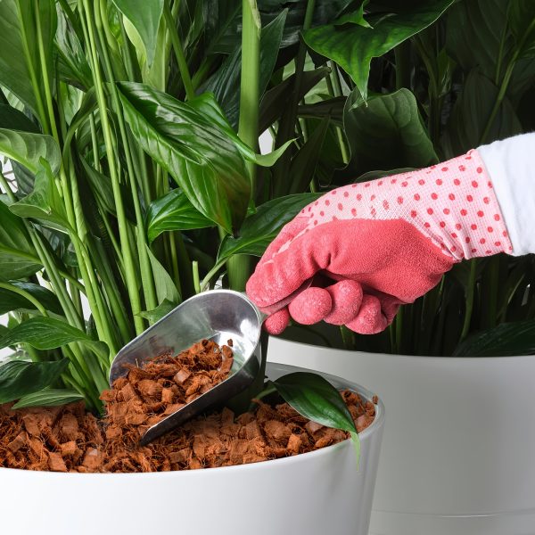 2u002f4u002f6 pack 100% coconut husk chips low ec & ph balanced, high expansion coco husk mulch for garden, flowers, herbs planting substrate with natural drainage & soil erosion control, flower plant support, highquality mulch
